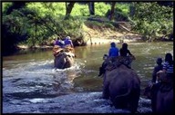 Unveiled River of Kwai